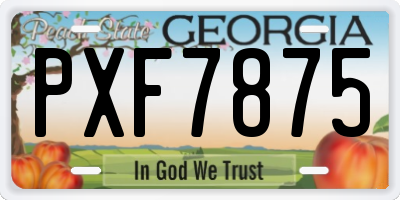 GA license plate PXF7875