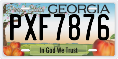GA license plate PXF7876