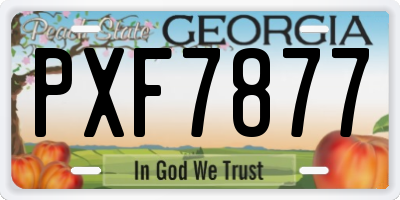 GA license plate PXF7877
