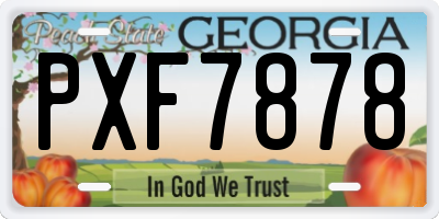 GA license plate PXF7878