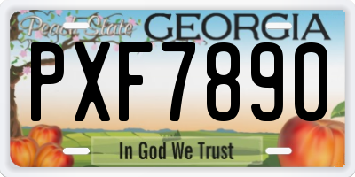 GA license plate PXF7890