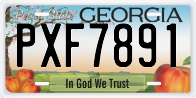 GA license plate PXF7891