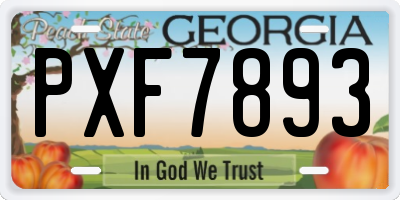 GA license plate PXF7893