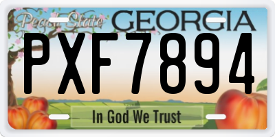 GA license plate PXF7894