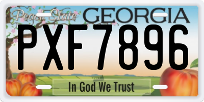 GA license plate PXF7896