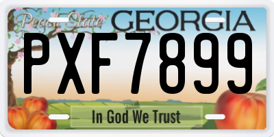 GA license plate PXF7899