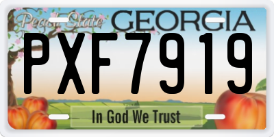 GA license plate PXF7919