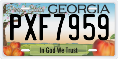 GA license plate PXF7959