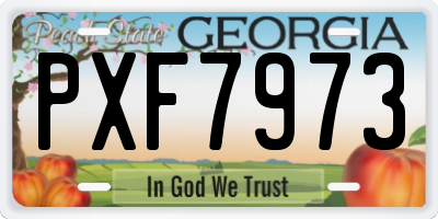 GA license plate PXF7973