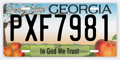 GA license plate PXF7981