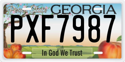 GA license plate PXF7987