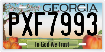 GA license plate PXF7993