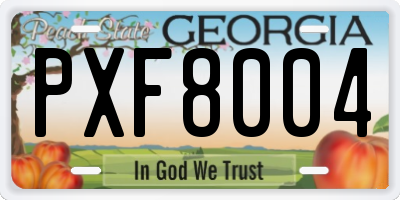 GA license plate PXF8004
