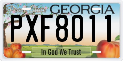 GA license plate PXF8011