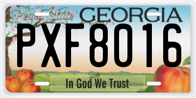 GA license plate PXF8016