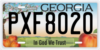 GA license plate PXF8020