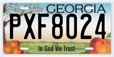 GA license plate PXF8024