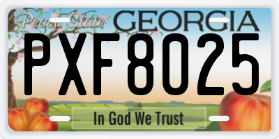 GA license plate PXF8025