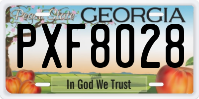 GA license plate PXF8028
