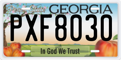 GA license plate PXF8030