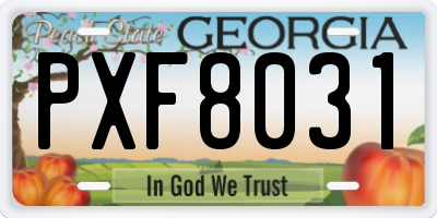 GA license plate PXF8031