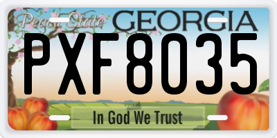 GA license plate PXF8035