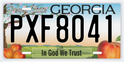 GA license plate PXF8041