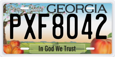 GA license plate PXF8042