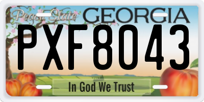 GA license plate PXF8043