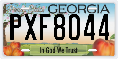 GA license plate PXF8044