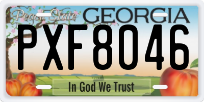 GA license plate PXF8046