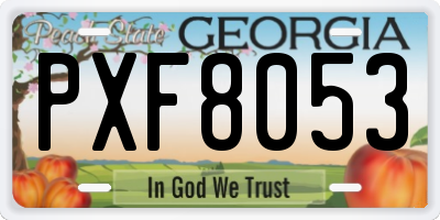 GA license plate PXF8053