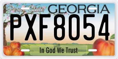 GA license plate PXF8054