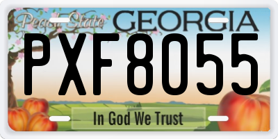 GA license plate PXF8055