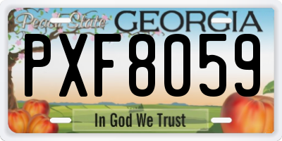 GA license plate PXF8059