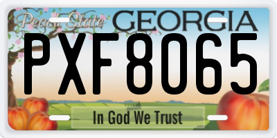 GA license plate PXF8065