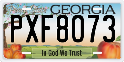 GA license plate PXF8073