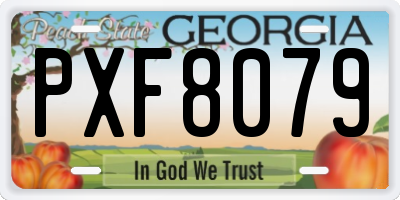 GA license plate PXF8079