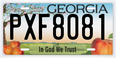 GA license plate PXF8081