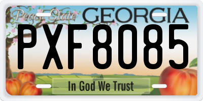 GA license plate PXF8085