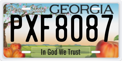 GA license plate PXF8087