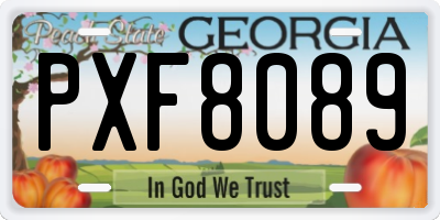 GA license plate PXF8089