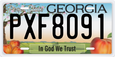 GA license plate PXF8091