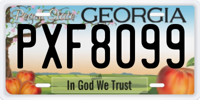GA license plate PXF8099