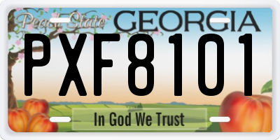 GA license plate PXF8101