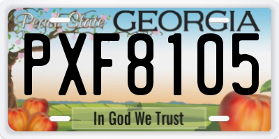 GA license plate PXF8105