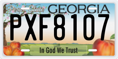 GA license plate PXF8107
