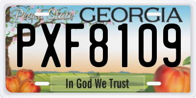 GA license plate PXF8109