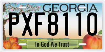GA license plate PXF8110