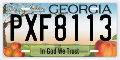 GA license plate PXF8113